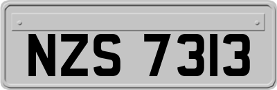 NZS7313