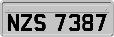 NZS7387