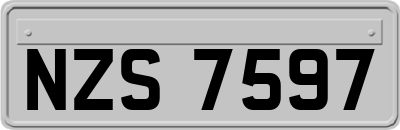 NZS7597