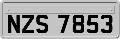 NZS7853