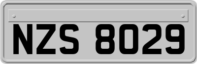 NZS8029