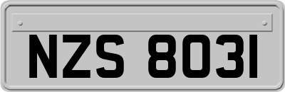 NZS8031