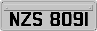 NZS8091
