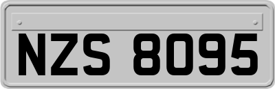 NZS8095