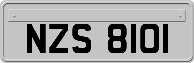 NZS8101