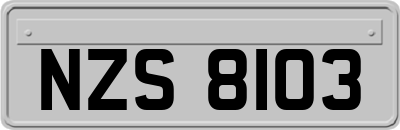 NZS8103