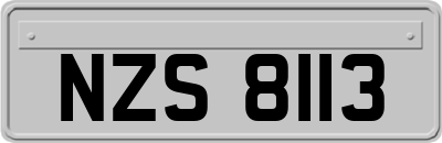 NZS8113