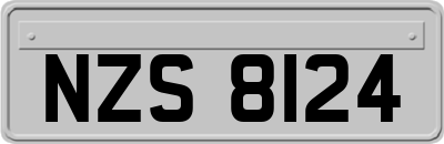NZS8124