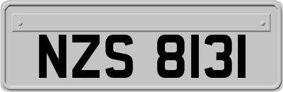 NZS8131