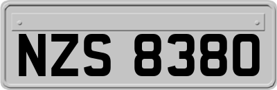 NZS8380