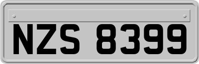 NZS8399