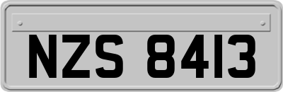 NZS8413