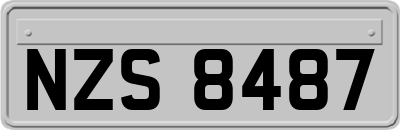 NZS8487