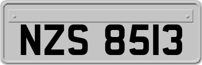 NZS8513