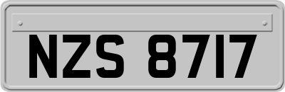 NZS8717