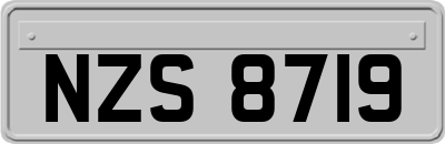NZS8719