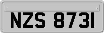 NZS8731