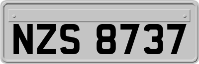 NZS8737