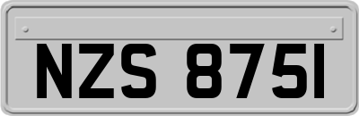 NZS8751