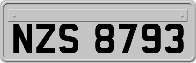 NZS8793
