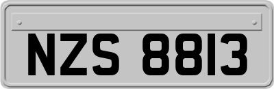 NZS8813