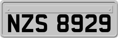 NZS8929
