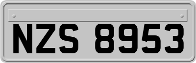 NZS8953