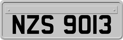 NZS9013