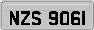 NZS9061