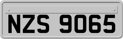 NZS9065