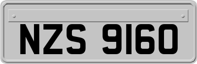 NZS9160