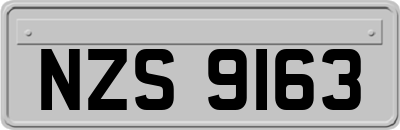 NZS9163