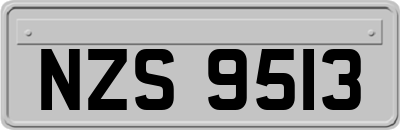 NZS9513