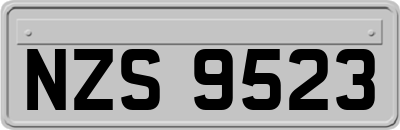 NZS9523