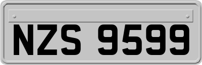 NZS9599