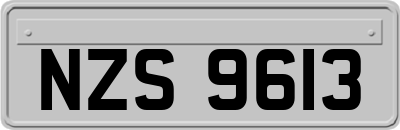 NZS9613