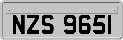 NZS9651