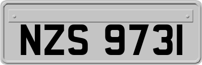 NZS9731