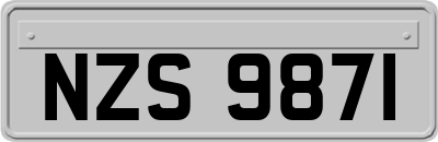 NZS9871