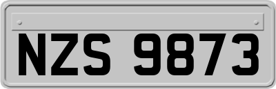 NZS9873