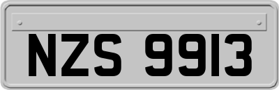 NZS9913