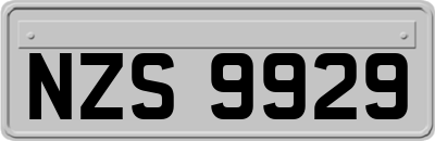 NZS9929