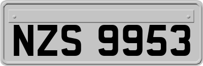 NZS9953