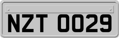 NZT0029