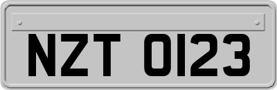NZT0123
