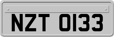 NZT0133