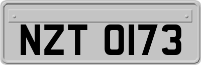 NZT0173