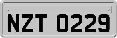 NZT0229