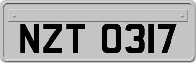 NZT0317