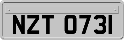 NZT0731